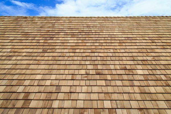 Shake Shingle Repair Service
